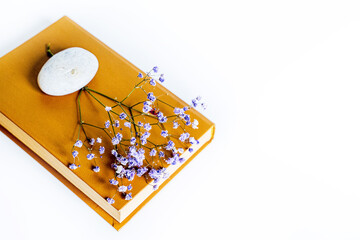 printed literary old book lies on white background with space for text and with flower, book covers...