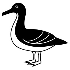 Animal albatross silhouette vector illustrator 
