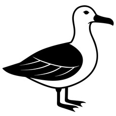 Animal albatross silhouette vector illustrator