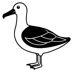 Animal albatross silhouette vector illustrator