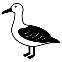 Animal albatross silhouette vector illustrator 