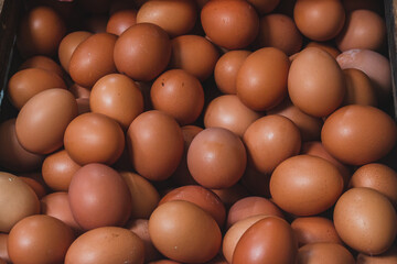Fresh brown eggs at the wet market. A pile of brown chicken eggs in a wooden crate in a traditional market. Suitable for food, farming, organic products and local farming themes. Natural texture and c
