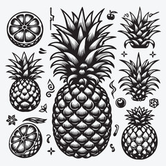Illustration of pineapple. Vector design element stock illustration