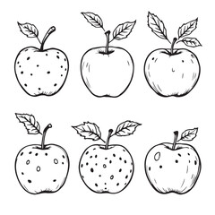 Fresh Sugar Apple Line Art Vector Illustration