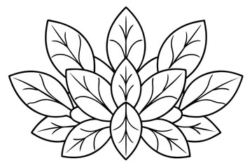 Kalanchoe Leaf Line Art Simple Outline for Plant Lover Artwork  