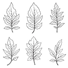 Fototapeta premium Intricate Snake Leaf Vector Artwork for Creatives