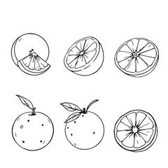 Minimalist Orange Fruit Vector Line Art Design