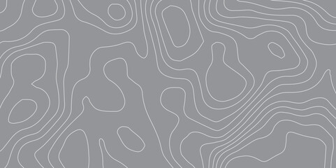 Abstract Topographic Map and Landscape Terrain Contour with Black and White Wavy Lines and Geometric Grid Pattern, Perfect for Digital Art, Vector Design, and Modern Graphic Layouts

