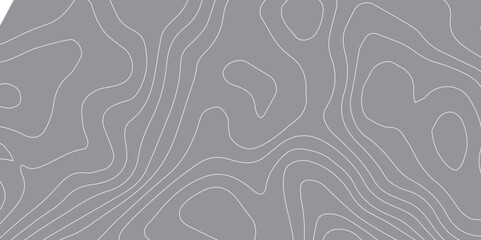 Black and white wave abstract topographic map contour, lines Pattern background. Topographic map and landscape terrain texture grid. Wavy banner and color geometric form. Vector illustration