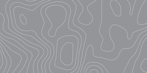 Black and white wave abstract topographic map contour, lines Pattern background. Topographic map and landscape terrain texture grid. Wavy banner and color geometric form. Vector illustration