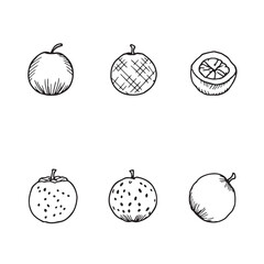 Creative Passionfruit Vector Art for Vibrant Illustrations