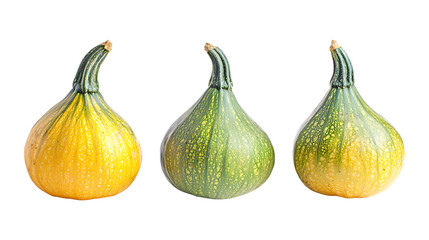 Pack of Hubbard Squash set of Three Different Poses set Against Transparent Background for Organic Branding, Food Promotion, or Harvesting Design Projects