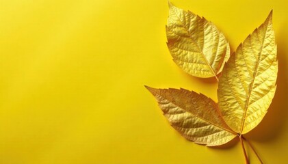 golden leaf gold foil texture on yellow paper, leafy green, shiny yellow leaf gold foil texture