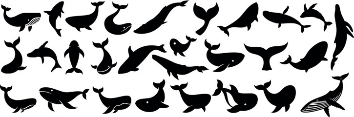 Whale silhouette collection, perfect for marine art. whale vector set features diverse black whale designs, ideal for ocean themed projects, tattoos, or educational graphics © Arafat
