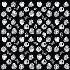 Elegant Hand-Drawn Raspberry Pattern Vector - Timeless Berry Illustration for Premium Designs