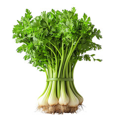 Fresh Celery Stalks, Vibrant Green Leaves, and a Bunch of Roots Ready for Use. Aromatic and Crisp