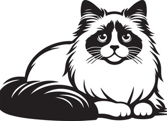 Black and White Ragdoll Cat Vector