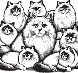 Black and White Ragdoll Cat Vector