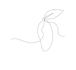 Obraz premium Simple Vector Image of Mango Fruit