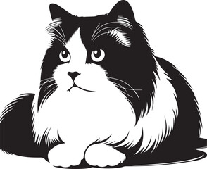 Black and White Ragdoll Cat Vector