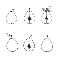 Modern Quince Line Art Design for Unique Branding