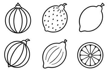Lemon Squash Line Art Illustration Creative Design for Print Art  