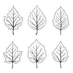 Beautiful Pumpkin Leaf Vector Line Art Artwork Collection