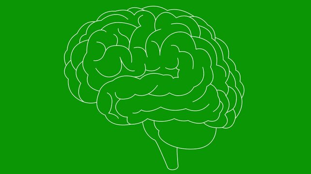 Animated linear white symbol of brain. Icon is drawn gradually. Concept of idea, creative, intellect, education, mental health. Line vector illustration isolated on green background.