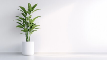 Obraz premium Parlor Palm Plant in White Pot Minimalist Style High-resolution soft lighting Center shot Lush green foliage Peaceful scene White wall background Clean bright tones Perfect for home decor ads