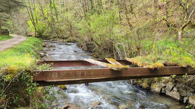 V&iacute;deo de uma ponte r&uacute;stica de ferro e madeira abandonada sobre um ribeiro com correnteza em meio a uma floresta verdejante