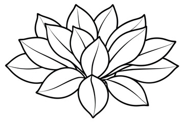 Kalanchoe Leaf Line Art Creative Sketch for Garden Theme Project  