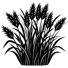 Obraz premium ears of wheat vector illustration