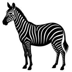 Fototapeta premium zebra vector illustration