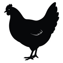 Chicken Silhouette, Vector EPS10 Illustration, Hen silhouette isolated on white background, Chicken hen silhouette isolated on white background, Flat vector Farm Animal illustration.