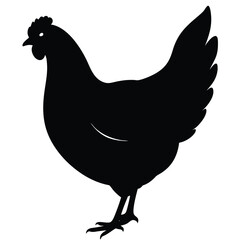 Chicken Silhouette, Vector EPS10 Illustration, Hen silhouette isolated on white background, Chicken hen silhouette isolated on white background, Flat vector Farm Animal illustration.