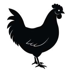 Chicken Silhouette, Vector EPS10 Illustration, Hen silhouette isolated on white background, Chicken hen silhouette isolated on white background, Flat vector Farm Animal illustration.