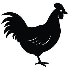 Chicken Silhouette, Vector EPS10 Illustration, Hen silhouette isolated on white background, Chicken hen silhouette isolated on white background, Flat vector Farm Animal illustration.