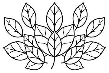 Kalanchoe Leaf Line Art Decorative Design for Leaf Pattern Drawing  