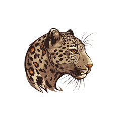 leopard head isolated