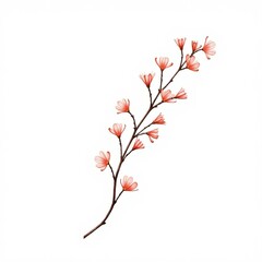 Fototapeta premium Coral Limonium Flower Twig Isolated on White Background