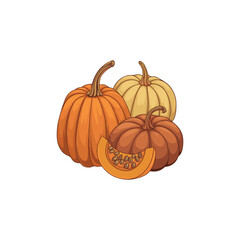 pumpkin isolated on white