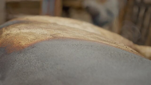 Slaughtering a domestic pig during the Christmas holidays in a rural village. Farmer removing pig hair using intense blowtorch flame during traditional meat preparation process.