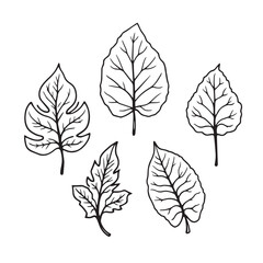 Fototapeta premium Stunning Monstera Vector Line Art for Modern Design