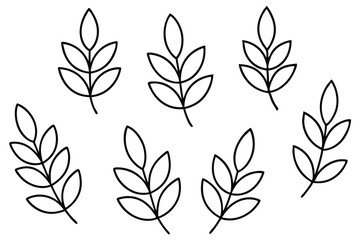 Lentil Leaf Line Art Creative Design for Illustration and Artwork  