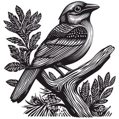 Fototapeta premium Detailed Woodcut Style Illustration of a Bird Perched on Branch