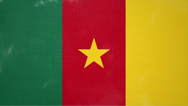 Animated Video Showing the Flag of CAMEROON Emerging from Nowhere