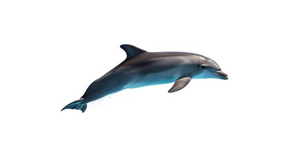 Obraz premium Ocean's Grace in Motion AI Generated