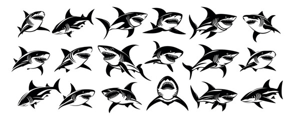 Sharks black ink drawing collection. Tiger large white coral top predator deep sea aquatic creature finned stalker monster, isolated vector art on blank backdrop