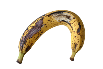Overripe banana with brown spots and peel damage showing signs of age and decay on a light isolated on transparent background