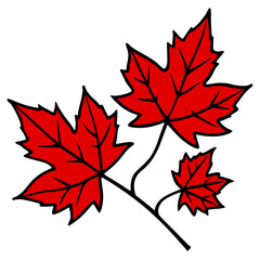 maple leaves vector illustration